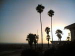Photos