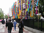 PICT0547.JPG