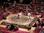 PICT0577.JPG
