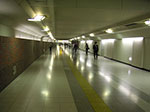 PICT0634.jpg