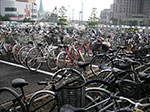 PICT0835.jpg