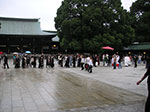 PICT0914.jpg