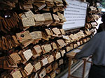 PICT0923.jpg