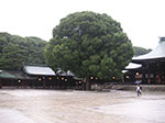 PICT0935.jpg
