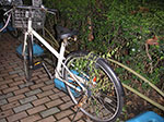 PICT0977.jpg