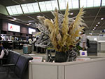 PICT1165.jpg
