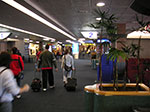 PICT1196.jpg