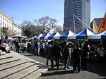PICT1242.jpg