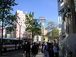 PICT1262.jpg
