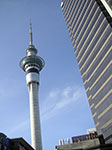 PICT1272.jpg