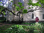 PICT1277.jpg