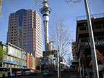 Photos