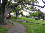 PICT1504.jpg