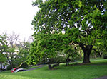 PICT1513.jpg