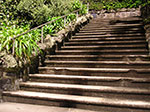 PICT2043.jpg