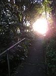 PICT2164.jpg