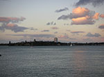 PICT2319.jpg
