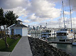 PICT2388.jpg