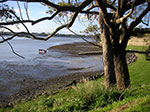 PICT2392.jpg