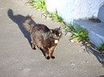 PICT2403.jpg