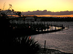PICT2438.jpg