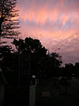 PICT2556.jpg