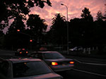 PICT2559.jpg
