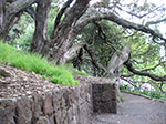 PICT2579.jpg