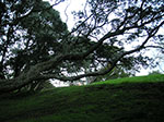 PICT2582.jpg