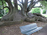 PICT2586.jpg