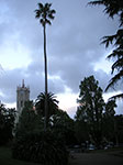 PICT2588.jpg