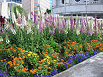 PICT2624.jpg