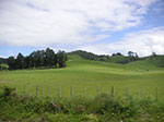 PICT2701.jpg