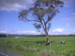 PICT2706.jpg