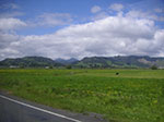PICT2707.jpg