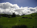PICT2799.jpg