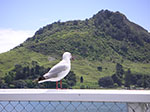 PICT2839.jpg
