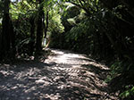 PICT2930.jpg