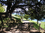 PICT2950.jpg