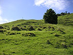 PICT2977.jpg