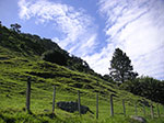 PICT2994.jpg