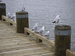 PICT3054.jpg