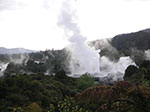 PICT3105.jpg