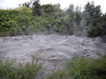 PICT3112.jpg