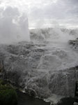 PICT3117.jpg