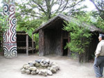 PICT3146.jpg
