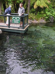 PICT3155.jpg