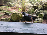 PICT3161.jpg