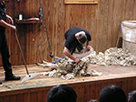 PICT3197.jpg