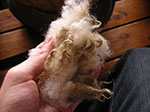 PICT3199.jpg